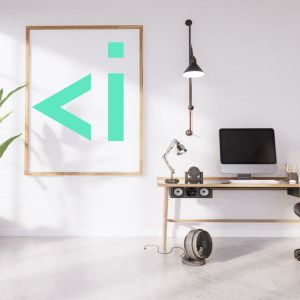 Ecommerce Websites in Mauritius