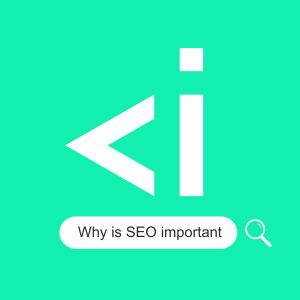 search engine optimization Mauritius